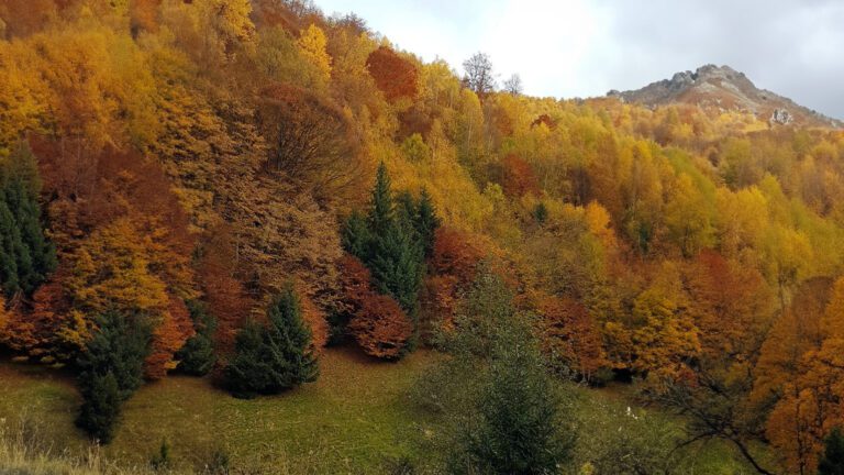 Read more about the article Toamna în Munții Retezat: O Aventură pentru Familie în mijlocul Naturii